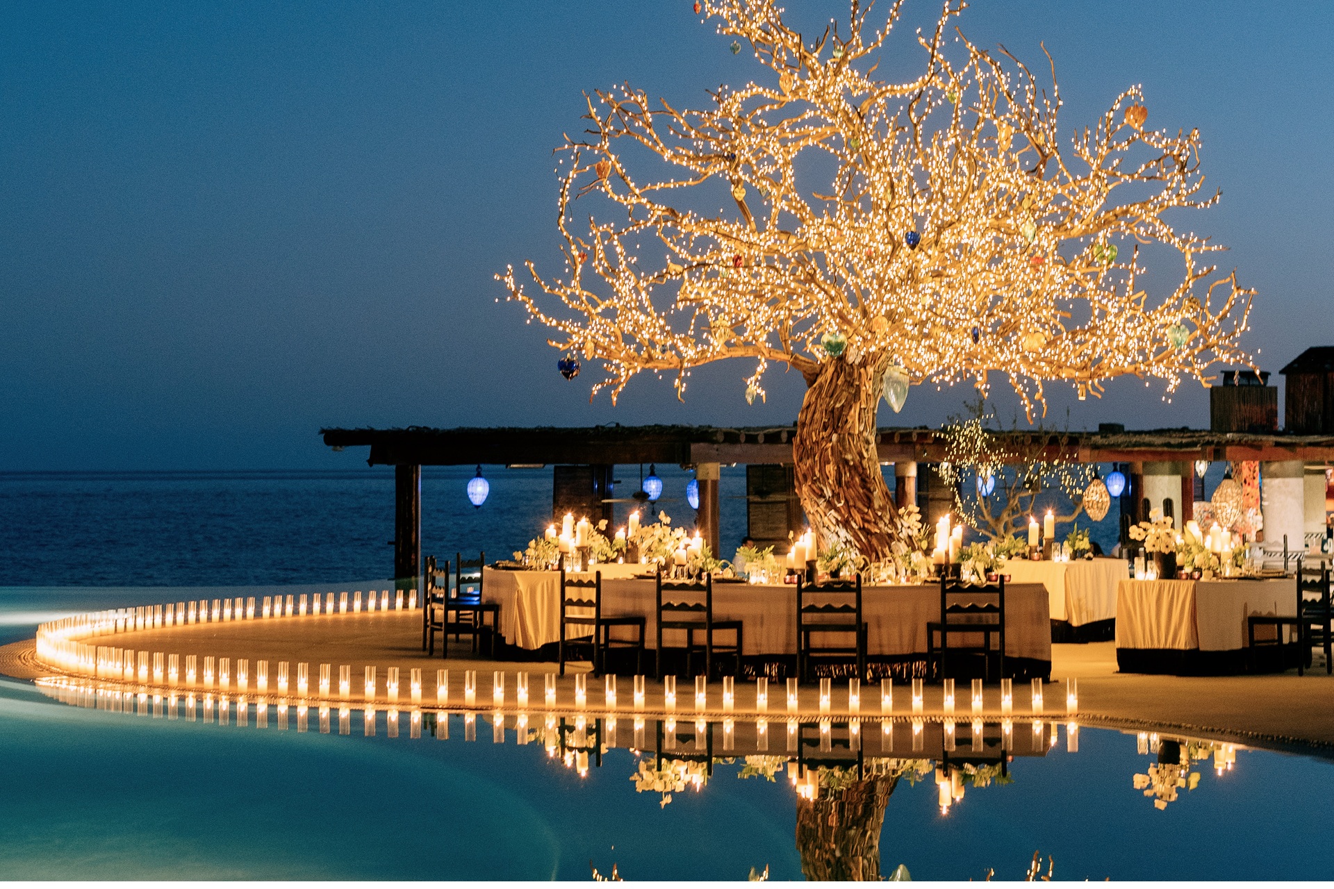 candm-Culinary Journeys Photo of a tree by a pool lit up with white lights